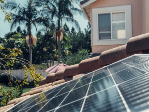 a tree branch casting shade over a section of rooftop solar panels on a Bay Area home