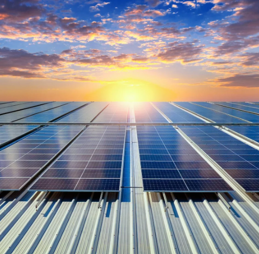 A large number of solar panels under the sky.